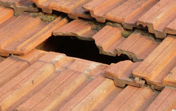 roof repair Kinlochmoidart, Highland