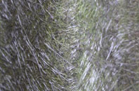 Kinlochmoidart fibreglass roof work